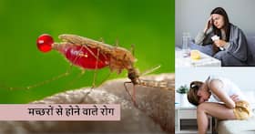 मच्छरों से होने वाली ये बीमारियां हो सकती हैं जानलेवा, बारिश के मौसम में खास सावधानी जरूरी