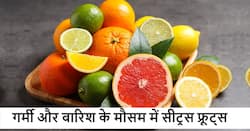 गर्मियों की बारिश के मौसम में शरीर के लिए बेहद हेल्दी हैं खट्टे फल, जानें किनका सेवन करना ज्यादा जरूरी