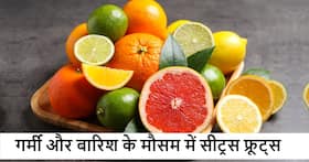 गर्मियों की बारिश के मौसम में शरीर के लिए बेहद हेल्दी हैं खट्टे फल, जानें किनका सेवन करना ज्यादा जरूरी गर्मियों की बारिश के मौसम में शरीर के लिए बेहद हेल्दी हैं खट्टे फल, जानें किनका सेवन करना ज्यादा जरूरी