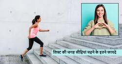 इन 5 बीमारियों में हमेशा के लिए छुटकारा दिला देगी सीढ़ियां चढ़ने की आदत, लेकिन इन बातों का ध्यान रखना भी जरूरी