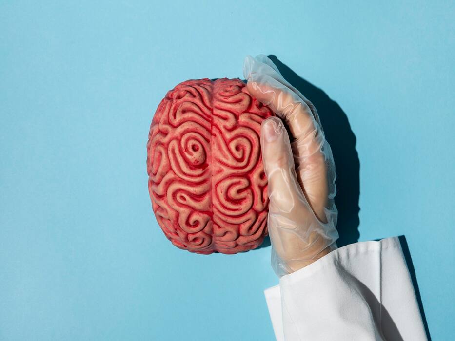 From Gut Health To Cognitive Skills, 6 Facts About Zinc That All Women Must Know