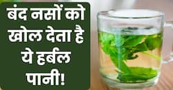 खाली पेट तुलसी का पानी पीने से खुल जाती हैं बंद धमनियां, जानिए 7 अन्य फायदे