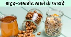 शहद के साथ अखरोट खाने से दूर होगीं ये बीमारियां
