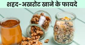 शहद के साथ अखरोट खाने से दूर होगीं ये बीमारियां शहद के साथ अखरोट खाने से दूर होगीं ये बीमारियां