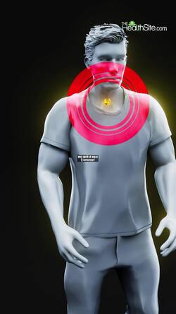 What foods increase thyroid