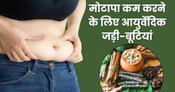 वजन घटाने के लिए करें इन 5 आयुर्वेदिक जड़ी-बूटियों का सेवन, मक्खन की तरह पिघल जाएगी शरीर की चर्बी