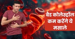 नसों में छिपे बैड कोलेस्ट्रॉल को चूस लेंगे किचन के कोने में पड़े ये 2 मसाले, बस 1 चम्मच ही खाना है हर रोज