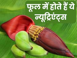 केले के फूलों की सब्जी नहीं है मटन कीमे से कम पौष्टिक, इस सुपरस्टार को है खूब पसंद, जानें इसके सभी गुण-फायदे
