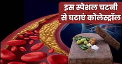 7 दिन में कोलेस्ट्रॉल कम करने के लिए खाएं ये स्पेशल चटनी, हार्ट अटैक का खतरा भी होगा कम