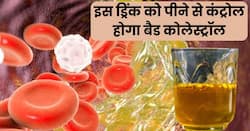 सुबह खाली पेट एक गिलास पानी में मिलाकर पी लें ये बीज, नस-नस में जमा बैड कोलेस्ट्रॉल पिघलकर निकल जाएगा बाहर