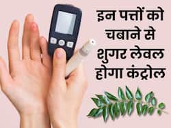 सुबह उठते ही चबा लें यह 1 हरा पत्ता, भूलकर भी नहीं बढ़ेगा ब्लड शुगर लेवल