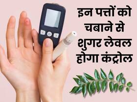 सुबह उठते ही चबा लें यह 1 हरा पत्ता, भूलकर भी नहीं बढ़ेगा ब्लड शुगर लेवल