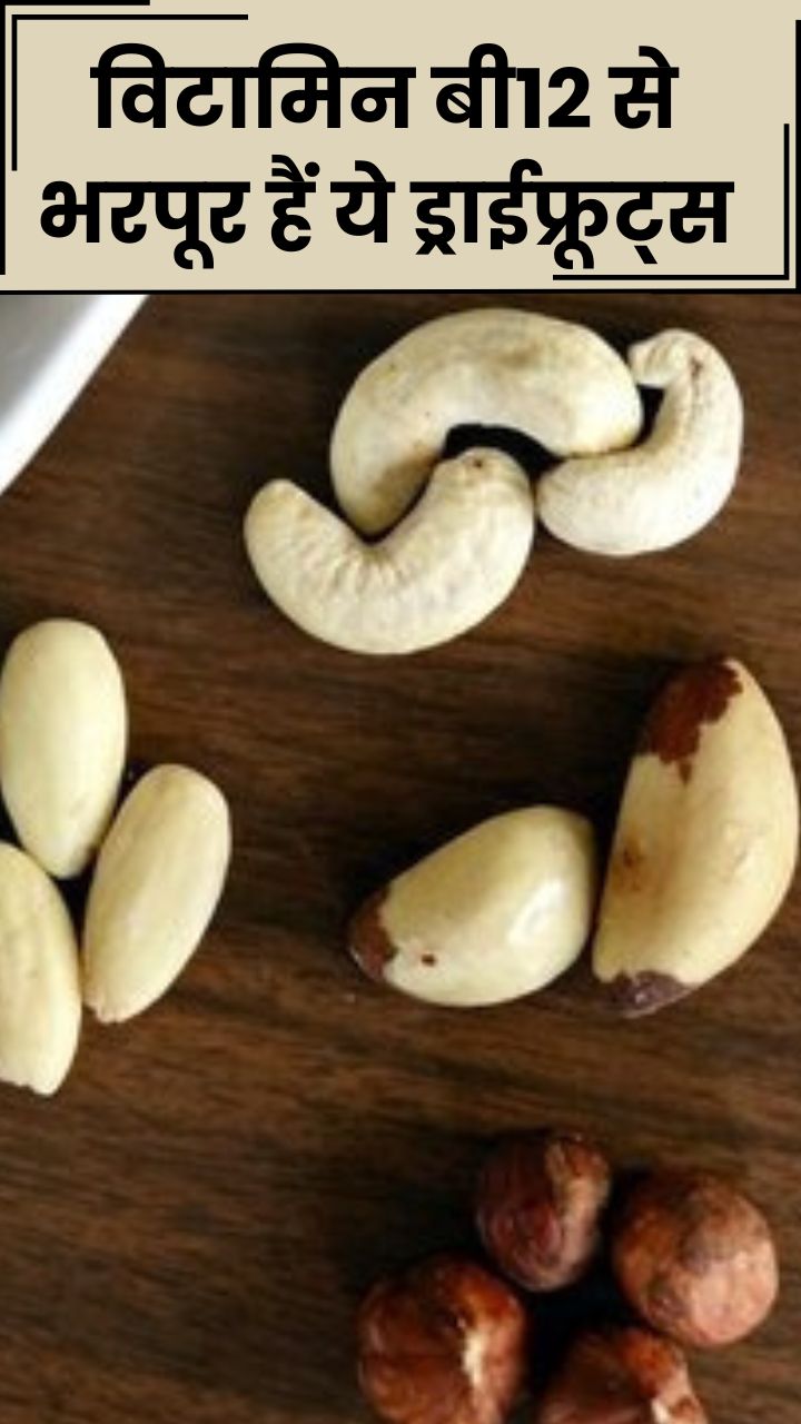 विटामिन बी12 से भरपूर होते हैं ये 8 ड्राईफ्रूट्स