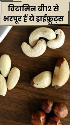 विटामिन बी12 से भरपूर होते हैं ये 8 ड्राईफ्रूट्स