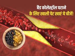 रोज सुबह खाली पेट पानी में भिगोकर खाएं ये 5 चीजें, नसों में जमा बैड कोलेस्ट्रॉल पिघलकर निकल जाएगा बाहर