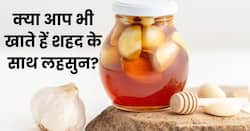Lahsun aur shahad : कोलेस्ट्रॉल घटाने के लिए शहद के साथ खा रहे हैं लहसुन तो ना करें ये मिस्टेक्स, हो सकते हैं ये नुकसान
