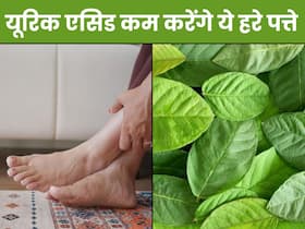 इस मीठे फल के पेड़ की पत्तियां हैं यूरिक एसिड का सस्ता इलाज, ऐसे करें सेवन पिघल जाएंगे यूरिक क्रिस्टल्स इस मीठे फल के पेड़ की पत्तियां हैं यूरिक एसिड का सस्ता इलाज, ऐसे करें सेवन पिघल जाएंगे यूरिक क्रिस्टल्स