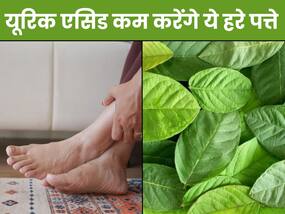 इस मीठे फल के पेड़ की पत्तियां हैं यूरिक एसिड का सस्ता इलाज, ऐसे करें सेवन पिघल जाएंगे यूरिक क्रिस्टल्स