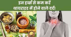 थायराइड बढ़ने पर इन 5 चमत्कारी जड़ी-बूटियों का करें सेवन, दर्द से लेकर सूजन होगी कम थायराइड बढ़ने पर इन 5 चमत्कारी जड़ी-बूटियों का करें सेवन, दर्द से लेकर सूजन होगी कम