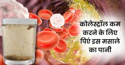सुबह खाली पेट पानी में मिलाकर पिएं ये मसाला, नस-नस में जमा कोलेस्ट्रॉल पिघलकर निकल जाएगा बाहर