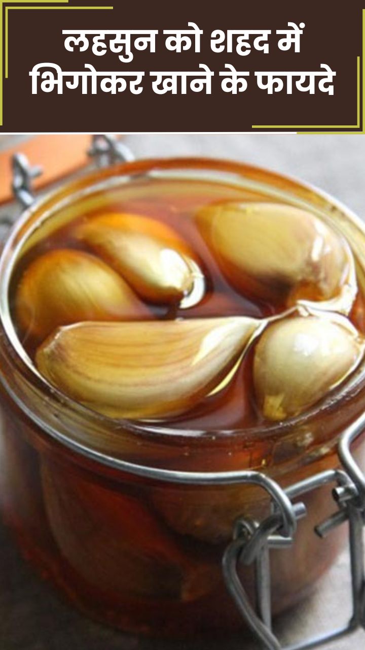 लहसुन को शहद में भिगोकर खाने के 8 फायदे