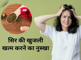 सिर में खुजली की समस्या से हो रही है चिड़चिड़, अपने हेयर ऑयल में मिलाएं ये 1 चीज मिलेगा झटपट आराम सिर में खुजली की समस्या से हो रही है चिड़चिड़, अपने हेयर ऑयल में मिलाएं ये 1 चीज मिलेगा झटपट आराम