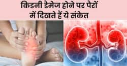 किडनी डैमेज होने पर पैरों में दिखाई देते हैं ये 4 संकेत, 90 फीसदी लोग साधारण समझकर करते हैं इग्नोर