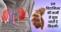 इन 3 विटामिन की कमी से सूखने लगती है किडनी, पूरी तरह से सड़कर होने लगती है खत्म