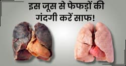 फेफड़ों के चारों ओर चिपकी गंदगी को एक ही झटके में निकाल फेकेगा ये 1 जूस, घर पर इस तरह करें तैयार