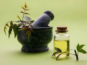 Neem Leaves: 5 Benefits Of Chewing Neem Leaves Daily On An Empty Stomach