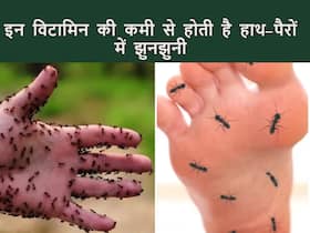 शरीर में इन 3 विटामिन की कमी से हाथ-पैरों में होने लगती है झुनझुनी, इन आहार से करें पूर्ति शरीर में इन 3 विटामिन की कमी से हाथ-पैरों में होने लगती है झुनझुनी, इन आहार से करें पूर्ति