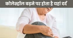 इन 2 जगहों पर हो रहा है दर्द तो समझ जाएं हाई है कोलेस्ट्रॉल लेवल, ना करें इन लक्षणों को इग्नोर