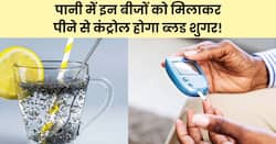 डायबिटीज मरीज सुबह उठते ही पानी में मिलाकर इन 5 बीजों का करें सेवन, 400 के पार रक्त शर्करा आ जाएगा नीचे