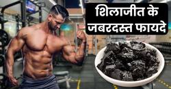 मांसपेशियों में सूजन से लेकर पेट के अल्सर का इलाज करे शिलाजीत, जानिए खाने का सही तरीका