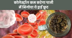रातभर पानी में भ‍िगोकर सुबह खाली पेट खाएं ये ड्राई फ्रूट, नसों में जमा बैड कोलेस्ट्रॉल पिघलकर निकल जाएगा बाहर