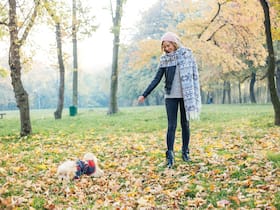 Natural Sources of Vitamin D: Top 7 Health Benefits of Sitting in Open Air Daily, As Per Ayurveda