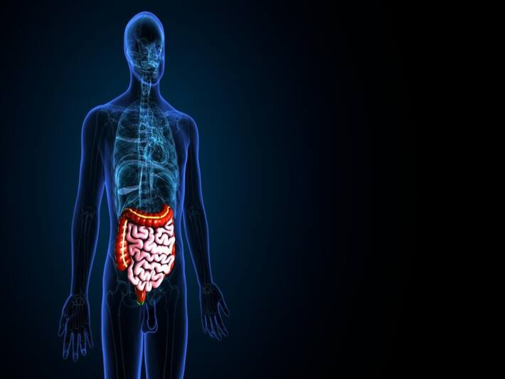 7 Side Effects Of Consuming Watermelon Seeds Excessively ... - Watermelon And Wheat Digestive Issues
