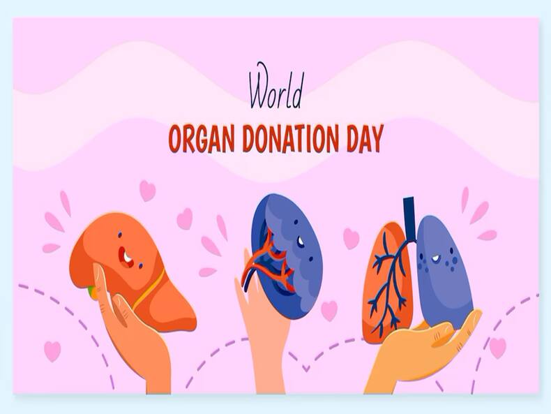 What Are Some Myths About Organ And Tissue Donation?