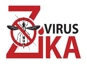 Zika Infection Update: Maharashtra Records A Total Of 97 Cases Among Which 45 Are Pregnant Women