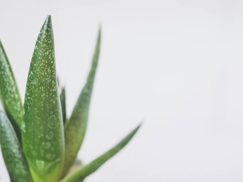 Eye Strain Home Remedies: 5 Things To Put Around Eyes To Cool Down Tense Nerves