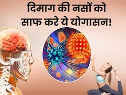 दिमाग की नस-नस में जमा गंदगी को बाहर फेंक देंगी ये 3 योगासन, आज से रोजाना करें अभ्यास