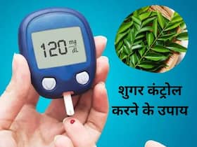 सुबह खाली पेट तोड़कर चबा लें इस पेड़ की 4 पत्तियां, तुरंत कंट्रोल होगा ब्लड शुगर लेवल, जानिए क्या है ये