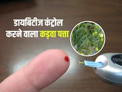 हाई ब्लड शुगर नहीं हो रहा कम, तो सुबह खाली पेट पी लें इस पत्ते का जूस, धड़ाम से गिरेगा शुगर लेवल