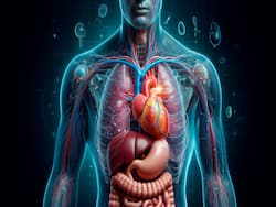 What Are Some Myths About Organ And Tissue Donation?