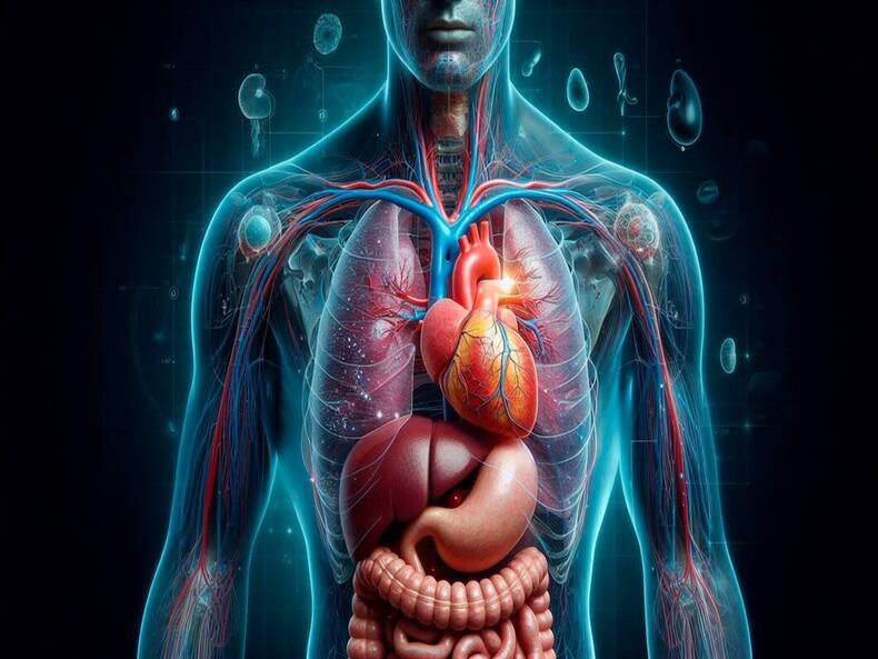5 Reasons That Make Organ Donation Super Important