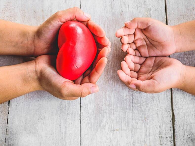 5 Reasons That Make Organ Donation Super Important