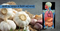 खाली पेट लहसुन की कली चबाने से मिलेंगे ये 5 जबरदस्त फायदे, बस जान लें चबाने तरीका