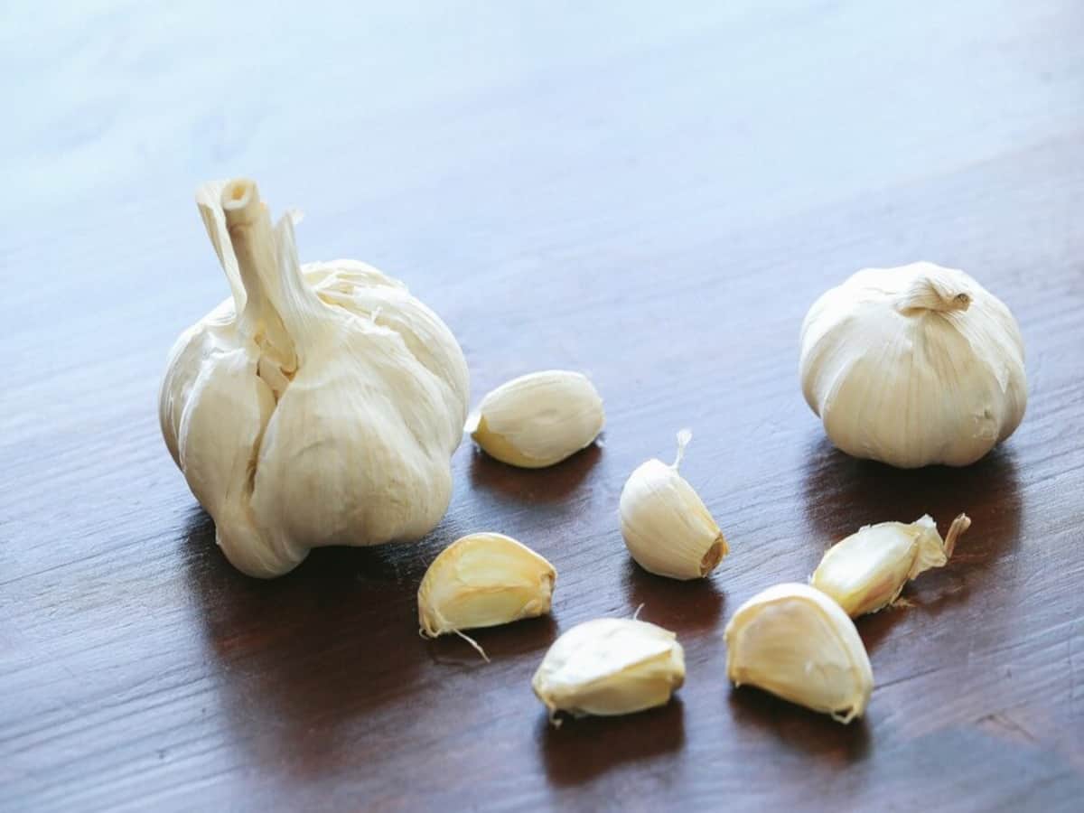 garlic health benefits, Garlic Juice, Eating garlic, Monsoon health problems, eating garlic in rainy season, eating garlic in monsoon season, garlic recipes, how to consume garlic in monsoon, garlic and health, garlic and immunity
