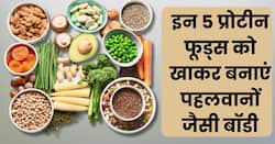 इन 5 सब्जियों को खाकर बनाएं पहलवानों जैसी बॉडी, चिकन-मटन सब भूल जाओगेइन 5 सब्जियों को खाकर बनाएं पहलवानों जैसी बॉडी, चिकन-मटन सब भूल जाओगे