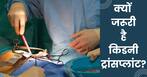 भारत में किडनी ट्रांसप्लांट का कितना खर्च आता है? जानिए स्टेप बाय स्टेप सबकुछ